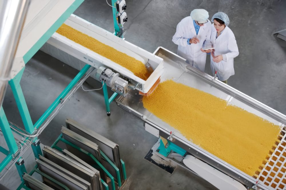 conveyor beklt selection